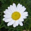 Profile picture for user Julia70