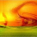Profile picture for user anabelis87