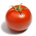Profile picture for user Tomatete
