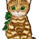 Profile picture for user mariajose68