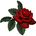 Profile picture for user olguichi1970