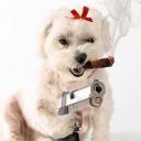Profile picture for user konami